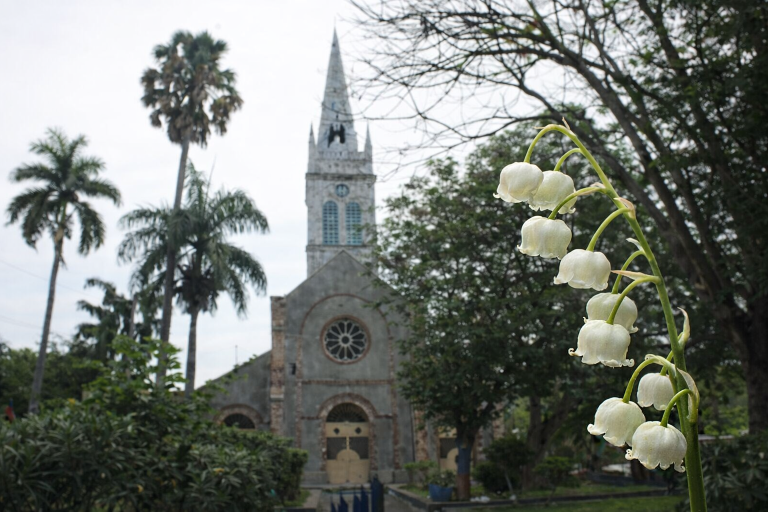 Église Notre-Dame-du-Perpétuel-Secours with lilies, Cavaillon, Haiti